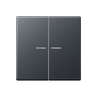 Jung A 10921 ST RF BF ANM KNX RF кнопка, 2 группы, Цвет: Антрацит, оттенок: Матовый