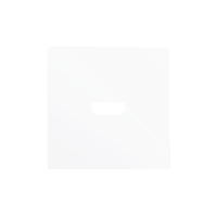 Zennio 830002509 ZS55, Накладка для двойного зарядного устройства USB C+A 55x55 мм, Шампанское