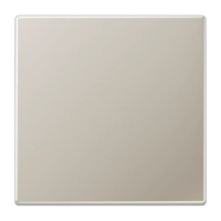 Jung ES 2990 Kлавиша, Серия LS, нержавеющая сталь