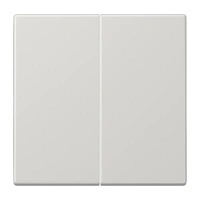 Jung LS 995 LG Kлавиша, duroplastic, Серия LS, светло-серый