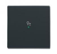 ABB SRD-1-81 SRD-1-81 рокер 1-клавишный диммирующий