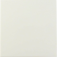 Berker 75940252 Заглушка, S.1, цвет: белый, глянцевый, цвет: Белый, оттенок: Глянцевый