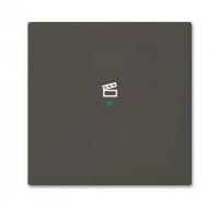 ABB SRS-1-95 SRS-1-95 Клавиша 1-местная, сцена