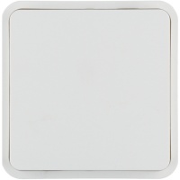 Berker 6130763542 Клавиша, цвет: Белый, оттенок: Полярная белизна, матовый