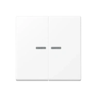 Jung A 595 KO5 WWM Kлавиша с окошком, duroplastic lacquered, Серия A, белоснежный матовый