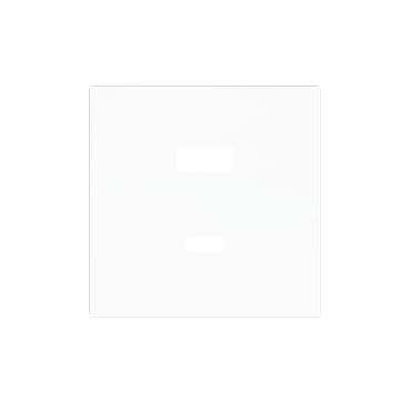 Zennio ZSI2UCA + ZS55C2UCAY Двойное зарядное устройство USB C+A 5 В / 3,5 А ZS55 – USB C+A Charger