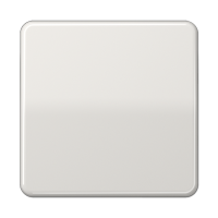 Jung CD 101 LG Kлавиша