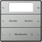 Gira 2142212 Комплект клавиш, 2 шт. Plus, ГРАВИРОВКА, цвет: Сталь