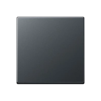 Jung A 590 BF ANM Kлавиша, thermoplastic lacquered, Серия A, матовый антрацит