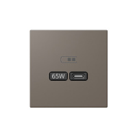 Jasmart Electric FD6065PTM USB зарядка 65W тпп "С" и тип "А", 220-240В, 50-60Мгц, цвет  матовый Тауп (soft touch), FD6065PTM