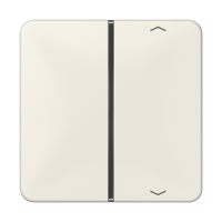 Jung CD 401 TSAP Накладка, 1-ная с символами «стрелки»