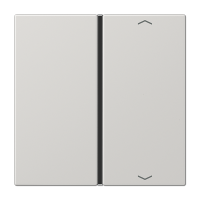 Jung LS 401 TSAP LG Накладка, 1-ная с символами «стрелки»