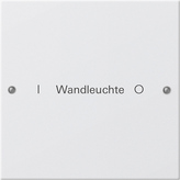 Gira 220103 Набор клавиш 1-местный,  ГРАВИРОВКА, цвет: Белый, оттенок: Глянцевый, лакированный