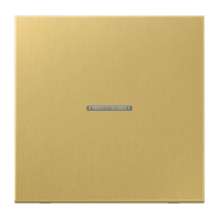 Jung ME 2990 KO5 C Kлавиша с окошком, Латунь, Серия LS, латунь Classic