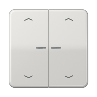 Jung CD 102 KO5P LG Клавиша с окошком и с символами «стрелки»