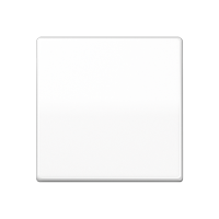 Jung AS 101 WW Kлавиша, Цвет: Белый, оттенок: Без оттенка