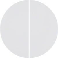 Berker 85648139 Кнопка 4-канальная, радиошина KNX, R.1/R.3, quicklink, цвет: Белый, оттенок: Полярная белизна, глянцевый