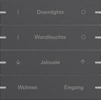 Gira 5034928 Набор клавиш четверн., индивидуально для сенсорного выключателя 4