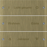 Gira 2133607 Комплект клавиш, 3 шт. ГРАВИРОВКА, цвет: Бронзовый