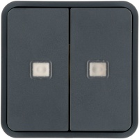 Berker 30863555 Клавиша 2-местная, с прозрачной линзой, цвет: Серый, оттенок: Матовый