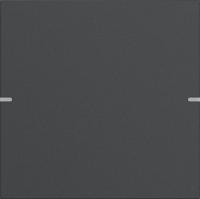 Gira 5021928 Клавиша одинарная для сенс. выкл.Gira 4 KNX, цвет: Антрацит, оттенок: Матовый, лакированный