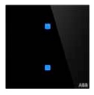 ABB TB/U2.4.1-CG Сенсор Tacteo 2-кнопочный, 86х86, черное стекло, цвет: Чёрный