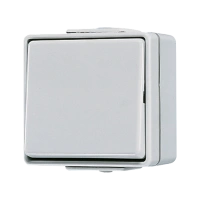 Jung 607 W Выключатель одноклавишный, перекрёстный, 10 AX 250 В ~, IP 44, WG 600