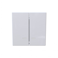 Jasmart Electric FD3023NW Выключатель двухклавишный со светодиодами 10A 250V~ с накладкой, цвет белый глянцевый, FD3023NW