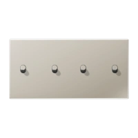 Jung ES 12-250 R 1 Центральная плата с тумблером «цилиндр», два сдвоенных тумблера, горизонтальный монтаж, Серия LS 1912, нержавеющая сталь