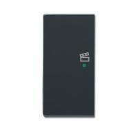 ABB SRS-2-L-81 SRS-2-L-81 Клавиша 2-местная, левая, сцена