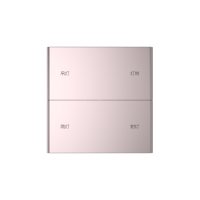 Letour LY/KC0202T10STMSGO Выключатель Т10 с ф-ми вызова сцен, 2 клав., 4 кнопки, металл, квадр., золотой