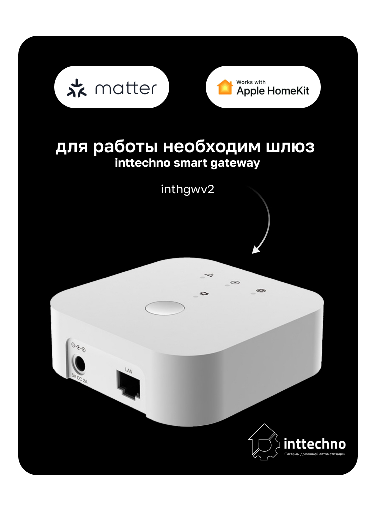 Inttechno INTGPDRS2MONO Беспроводной выключатель 2-клавишный