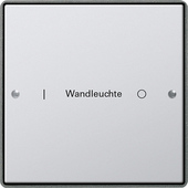 Gira 2131213 Комплект клавиш, 1 шт. ГРАВИРОВКА, цвет: Серый, оттенок: Алюминиевый