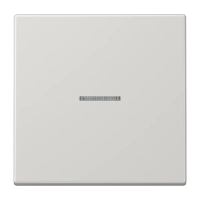 Jung LS 990 KO5 LG Kлавиша с окошком, duroplastic, Серия LS, светло-серый