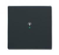 ABB SRL-1-81 SRL-1-81 Клавиша 1-клавишная, освещение