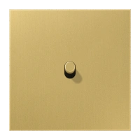 Jung ME 12-0 C R 25 Центральная плата с тумблером «цилиндр», одиночный тумблер, Серия LS 1912, латунь Classic