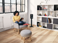 Dynaudio 248575 Полочная акустика Dynaudio New Emit 10 white, цвет: Белый