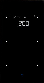 Berker 75642035 Стеклянный сенсор 2-канальный с регулятором температуры помещения, TS Sensor, цвет: Чёрный, оттенок: Без оттенка