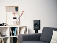 Dynaudio 248579 Полочная акустика Dynaudio New Emit 20 walnut, цвет: Темно - коричневое дерево