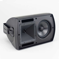 Klipsch 138443 Всепогодная АС Klipsch AW-650 black, цвет: Чёрный