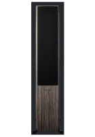 Dynaudio 166627 Напольная акустика Dynaudio FOCUS 60 XD Walnut high gloss, цвет: Серый