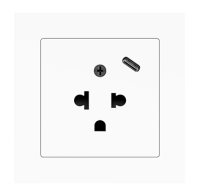 Zennio ZS55IEUA1US ZS55 — евро-американская розетка с USB C.