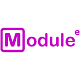 Module Electronic